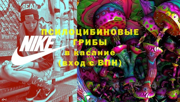 крисы Лиски