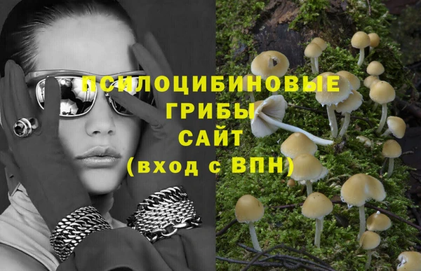 крисы Лиски