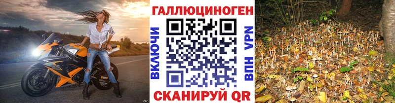 Галлюциногенные грибы Magic Shrooms  Щёкино 